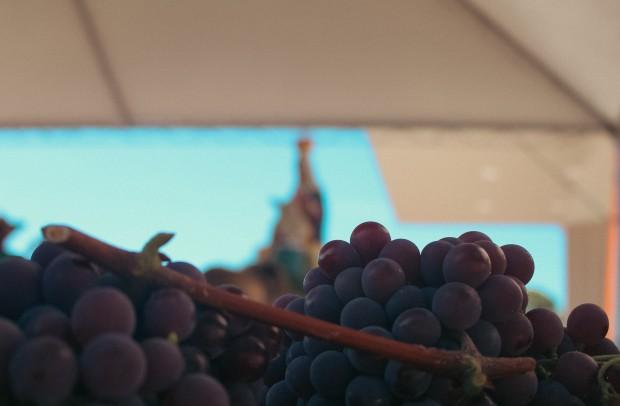 Romaria Votiva 2023 - Foto Mariana Ávila