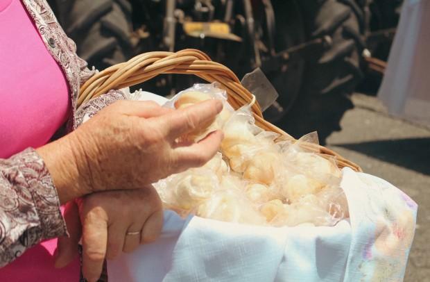 Romaria Votiva 2023 - Foto Mariana Ávila