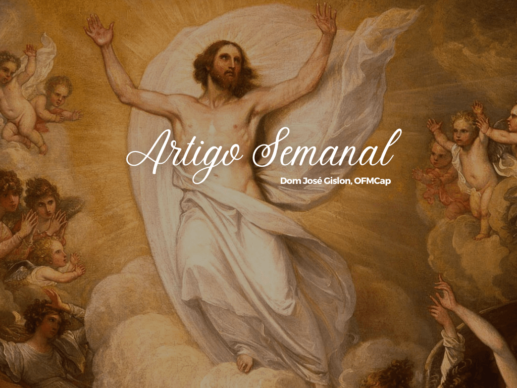 Olhar para o céu a partir da realidade da terra!